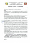 Vista preliminar de documento ORDENANZA MUNICIPAL N°011-2025-MDPN