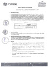 Vista preliminar de documento Bases del Proceso