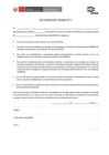 Vista preliminar de documento ANEXO D - DECLARACIONES JURADAS