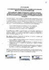 Vista preliminar de documento ACTA
