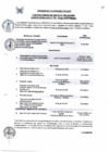 Vista preliminar de documento CRONOGRAMA