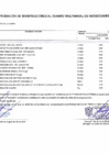 Vista preliminar de documento Reporte de Anexo 06  -00000234