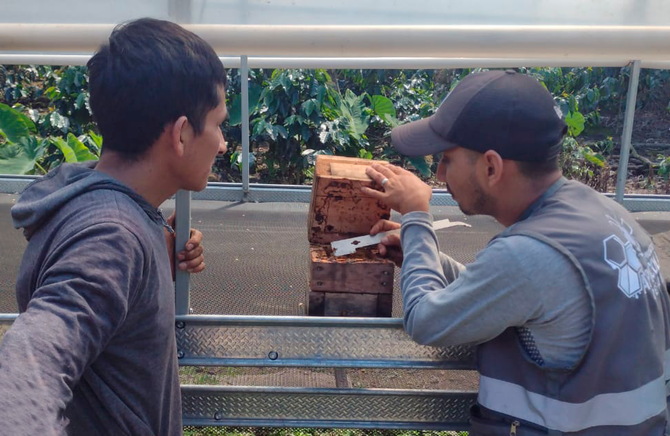 Asistencia Técnica por parte de promotores del Proyecto Apícola.