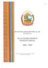 Vista preliminar de documento PEI_2025-2029