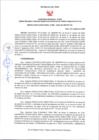 Vista preliminar de documento RD N°263-2024