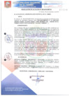 Vista preliminar de documento RA285-2016