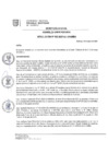 Vista preliminar de documento RES N° 002-2025-AU-UNAMBA