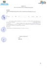 Vista preliminar de documento BASES CAS Nº004-2025_anexos