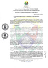 Vista preliminar de documento RCO N° 226-2025