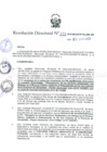 Vista preliminar de documento RD 141-2025-MIDAGRI-PEJSIB-DE