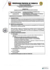 Vista preliminar de documento TDR N 1994