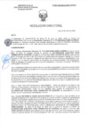 Vista preliminar de documento RD-2495-2025-DSAIA-DIRIS-LE-MINSA