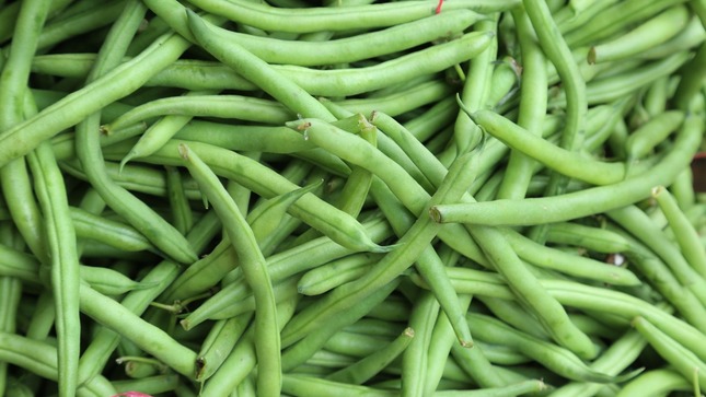 MIDAGRI
