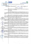 Vista preliminar de documento RD N 00685