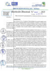Vista preliminar de documento RD N 00687