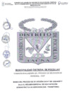 Vista preliminar de documento Bases del concurso CAS Transitorio N° 005-2025-MDP-T