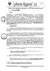 Vista preliminar de documento rgr-133-2025-gore-ica-graf