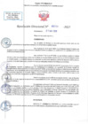 Vista preliminar de documento RD N 00700