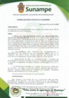 Vista preliminar de documento Acuerdo de Concejo Municipal N°019-2025-MDS