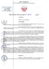 Vista preliminar de documento RD N 00710