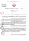 Vista preliminar de documento RD N 00713