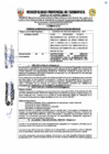 Vista preliminar de documento TDR Nº 2004