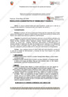 Vista preliminar de documento 292