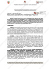 Vista preliminar de documento 297