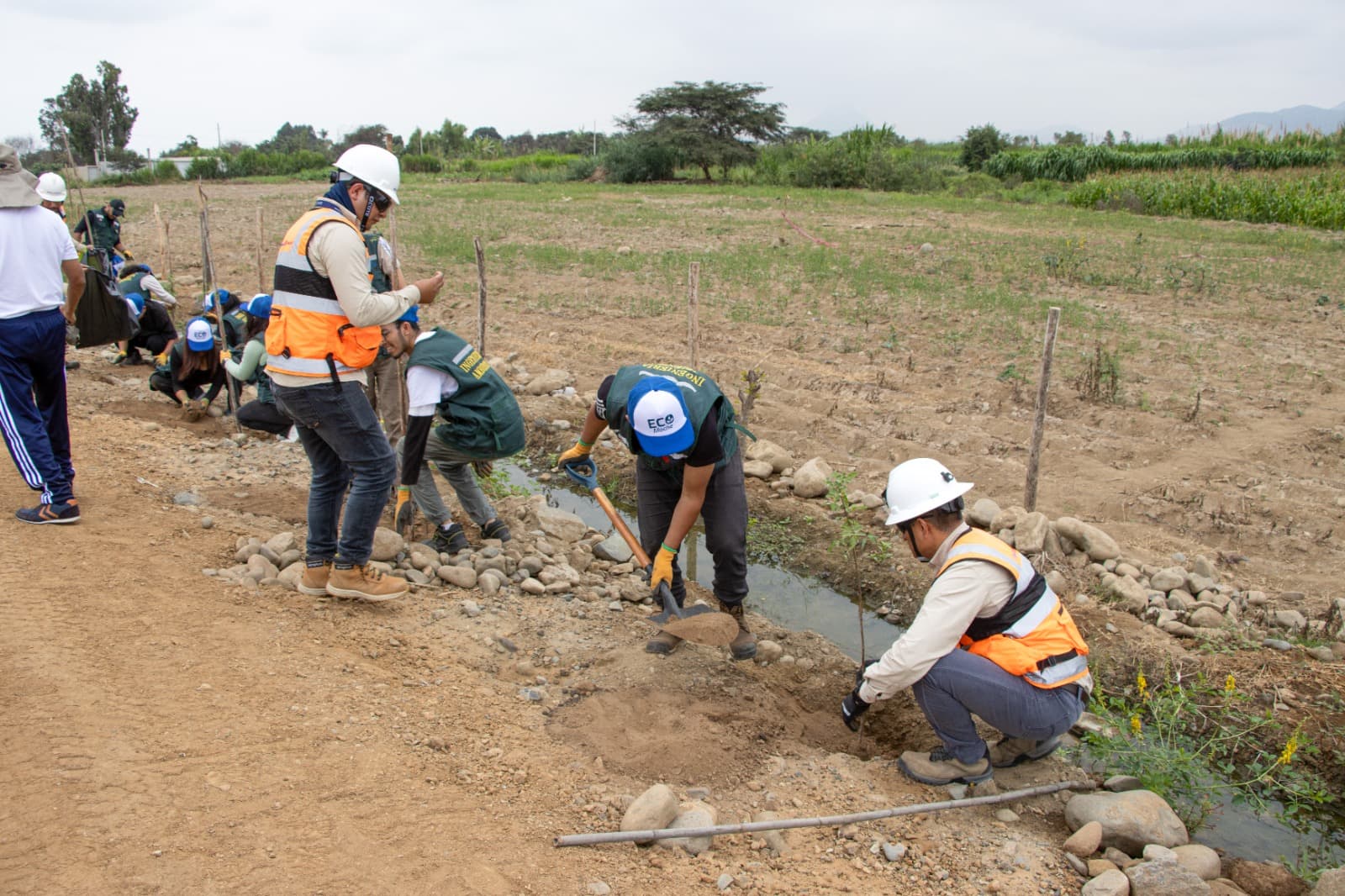 Gore Impulsa La Reforestación De La Ribera Del Río Moche