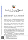 Vista preliminar de documento 20250605_125341_20250528_9319_RDR_1593-2025-DRELM (1)