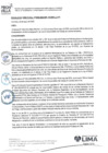 Vista preliminar de documento RESOLUCIÓN DIRECTORAL N°058-2025-MML-PROHVILLA-DT