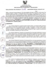 Vista preliminar de documento RDR N°403-2025-05-06-2025