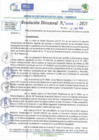 Vista preliminar de documento RD N 00728