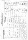 Vista preliminar de documento REGISTRO