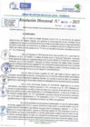 Vista preliminar de documento RD N 00729