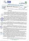 Vista preliminar de documento RD N 00731