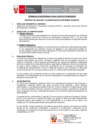 Vista preliminar de documento TDR