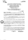 Vista preliminar de documento R.E.E.A.A 266-2025-02-06-2025