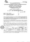 Vista preliminar de documento R.E.E.A.A 267-2025-02-06-2025