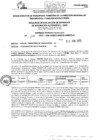 Vista preliminar de documento R.E.E.A.A 270-2025-03-06-2025