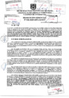 Vista preliminar de documento Resolución Gerencial N° 036-2025-GDTyGI-MPP