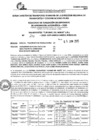 Vista preliminar de documento R.E.E.A.A 272-2025-05-06-2025