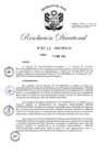 Vista preliminar de documento RD-2025-00052-999