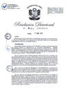 Vista preliminar de documento RD-2025-00087-999