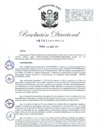 Vista preliminar de documento RD-2025-00161-999
