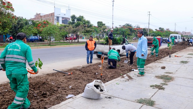 SACANDO DESMONTE PARA PODER SEMBRAR 3