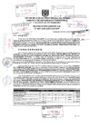 Vista preliminar de documento Resolución Gerencial N° 043-2025-GDTyGI-MPP
