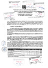 Vista preliminar de documento Resolución Gerencial N° 046-2025-GDTyGI-MPP