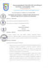 Vista preliminar de documento ORDENANZA_2025
