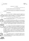 Vista preliminar de documento ORDENANZA N.º 531 - MDSJM